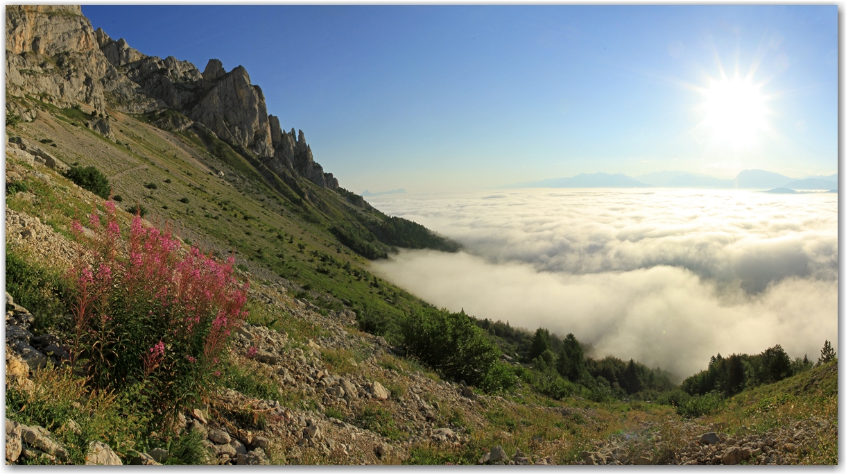 mer de nuages d'été