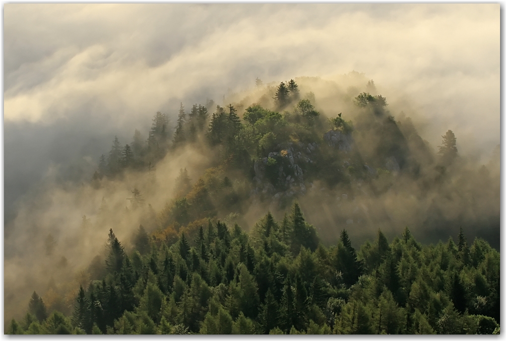 mer de nuages d'été