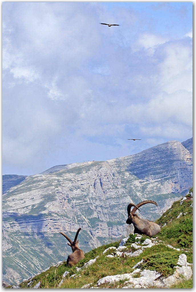 Le Vercors et ses crêtes