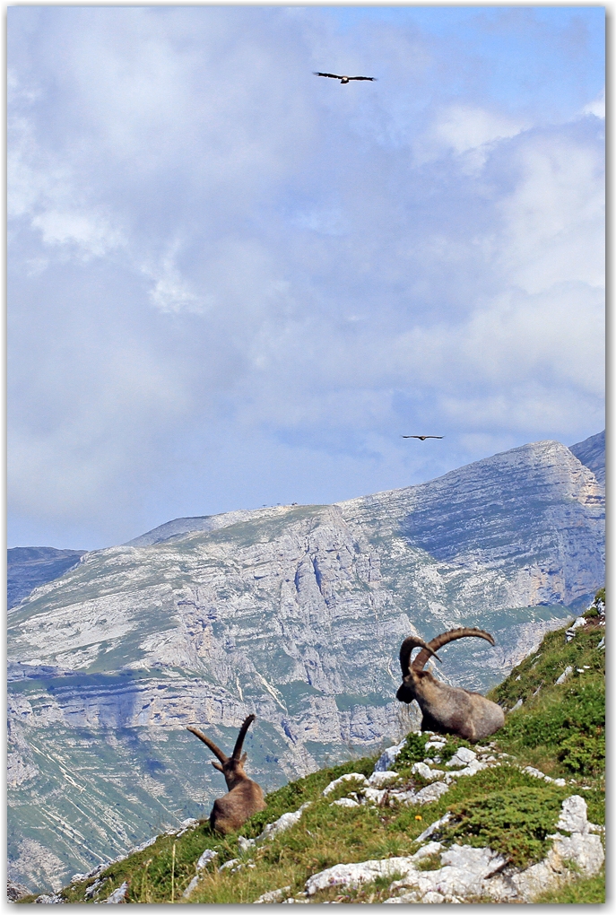 Le Vercors et ses crêtes