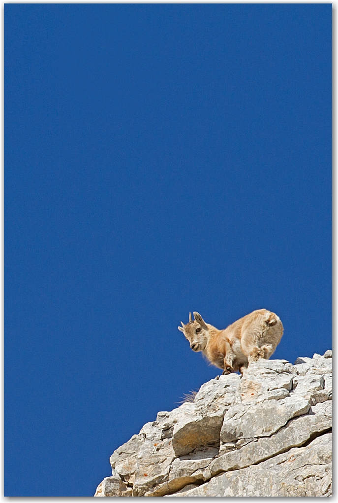 rencontre dans le Vercors