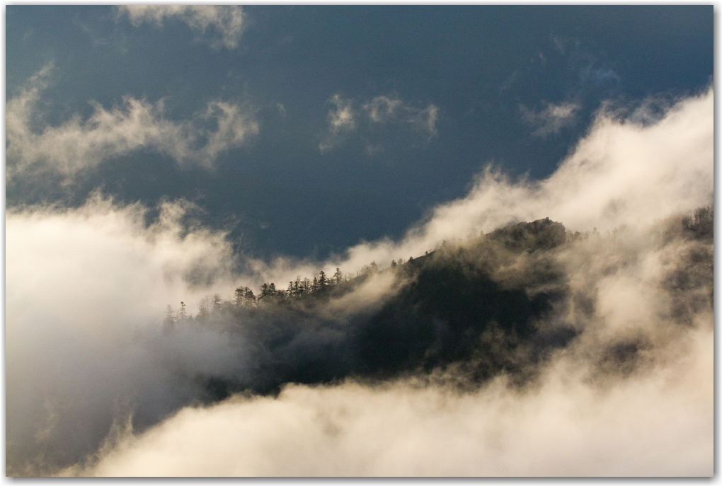 la faune du Vercors