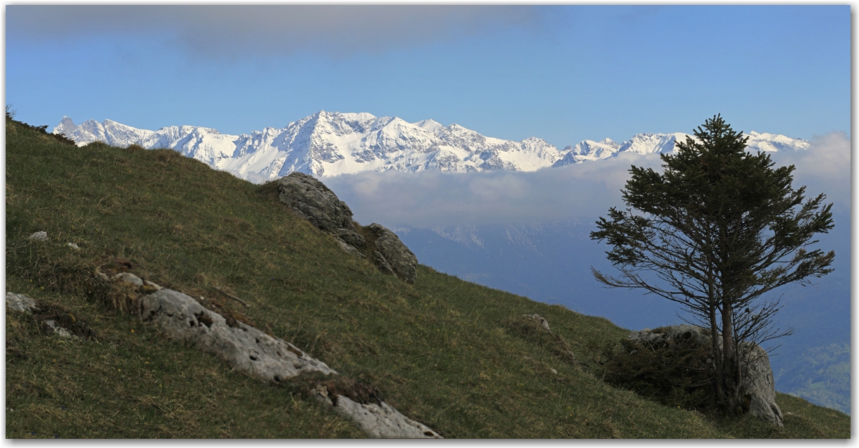 dent de crolles