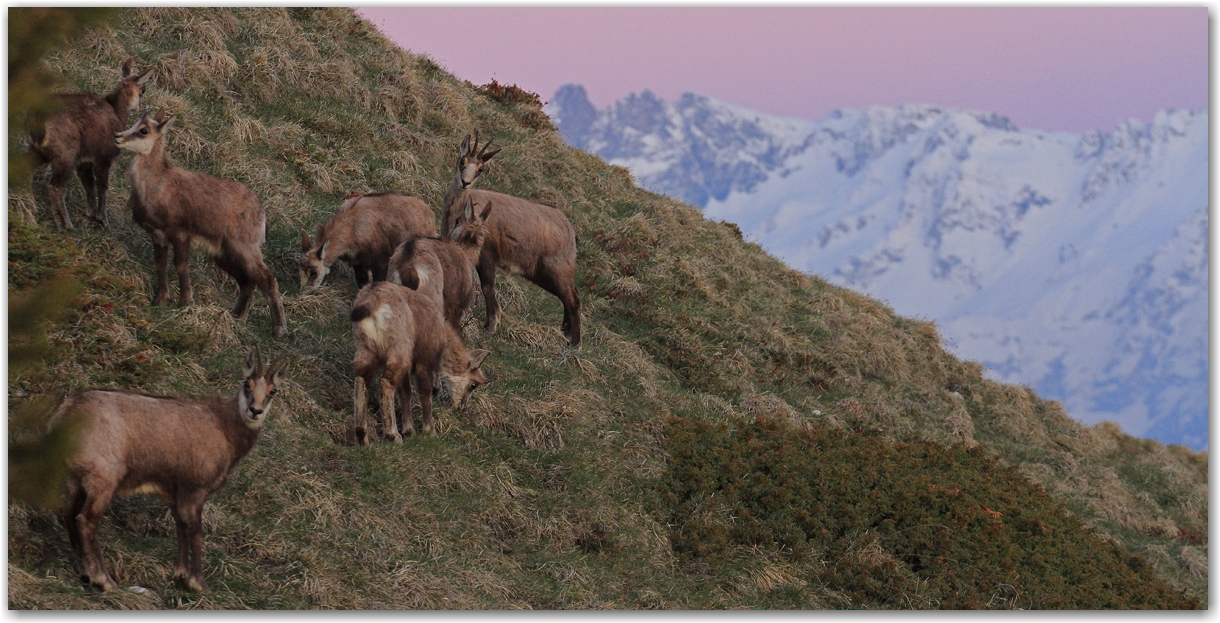 dent de crolles