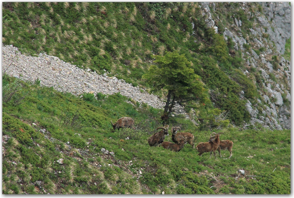 lumière inespérée au col de l'Arc