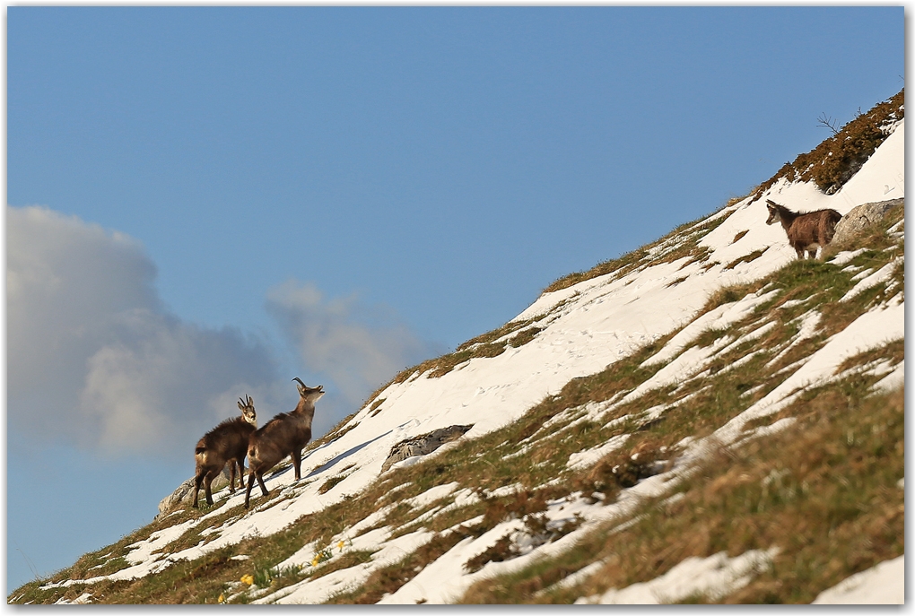 Une Dent de Crolles hivernale au printemps