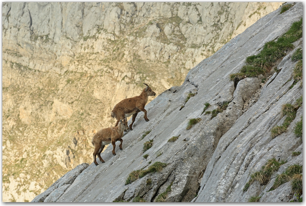 le retour en altitude