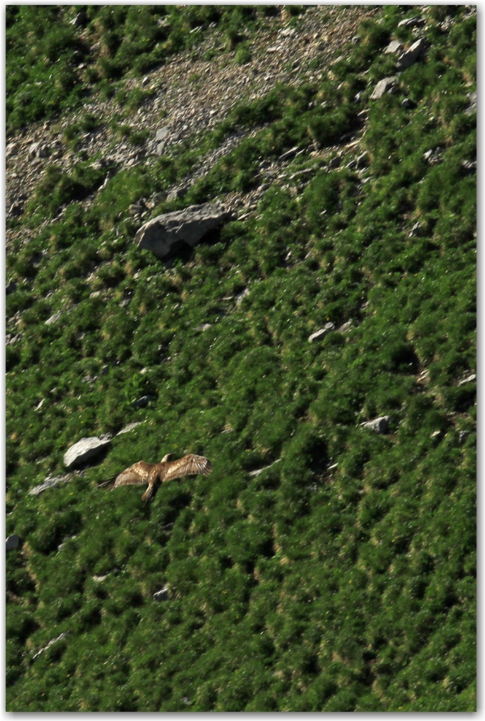 contemplation sur les crêtes du Vercors