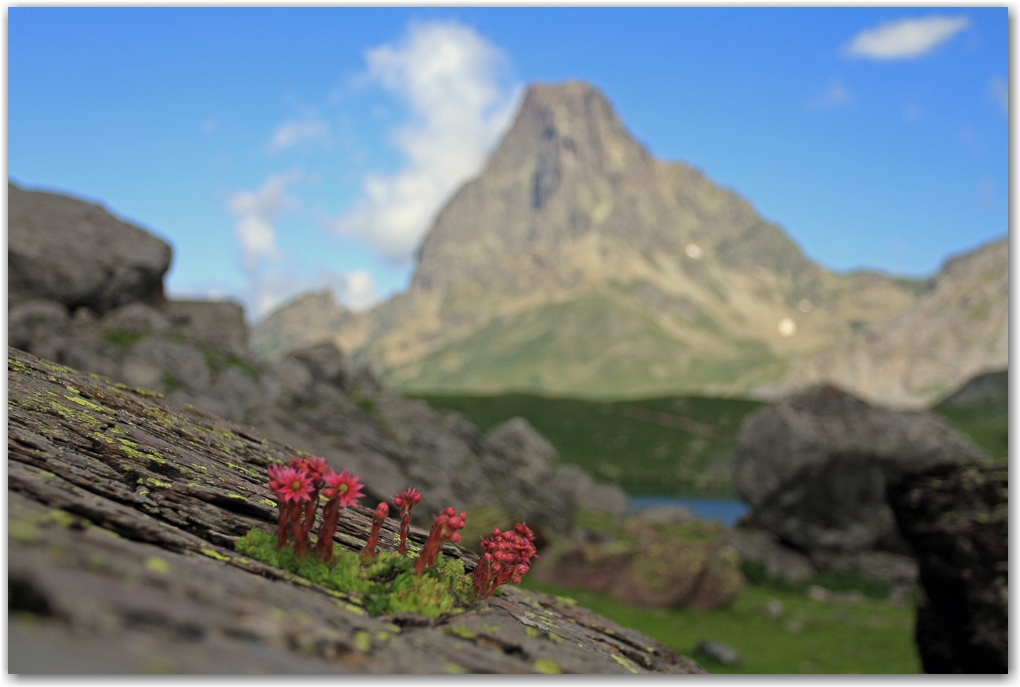 Pic du midi d'Ossau