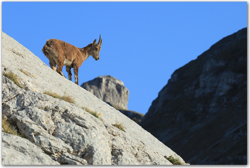 les rencontres du soir dans le Vercors