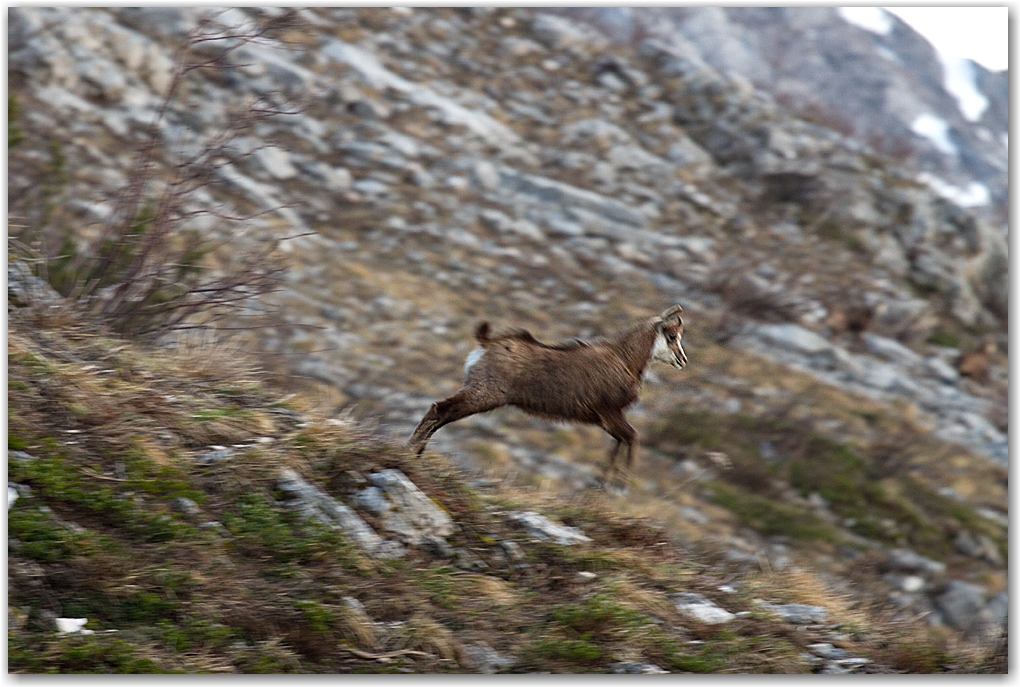 rencontre dans le Vercors