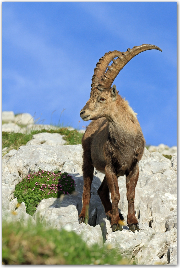 le Vercors et ses rencontres