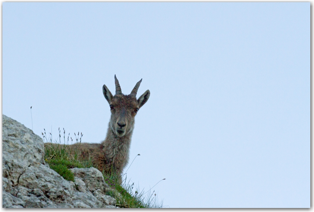 contemplation sur les crêtes du Vercors