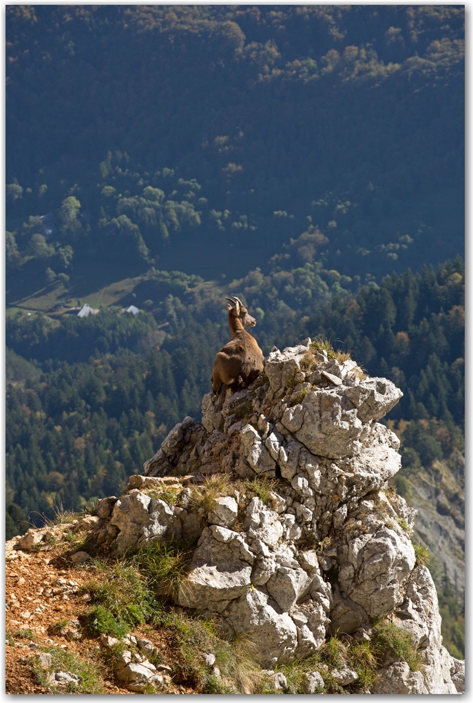 l'automne en Vercors