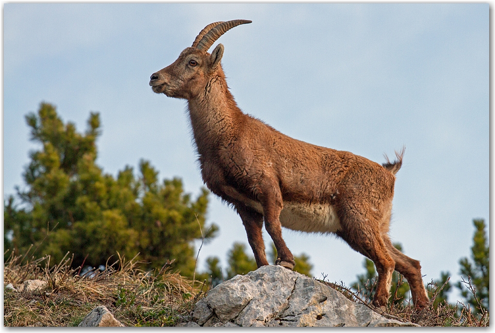 rencontre dans le Vercors