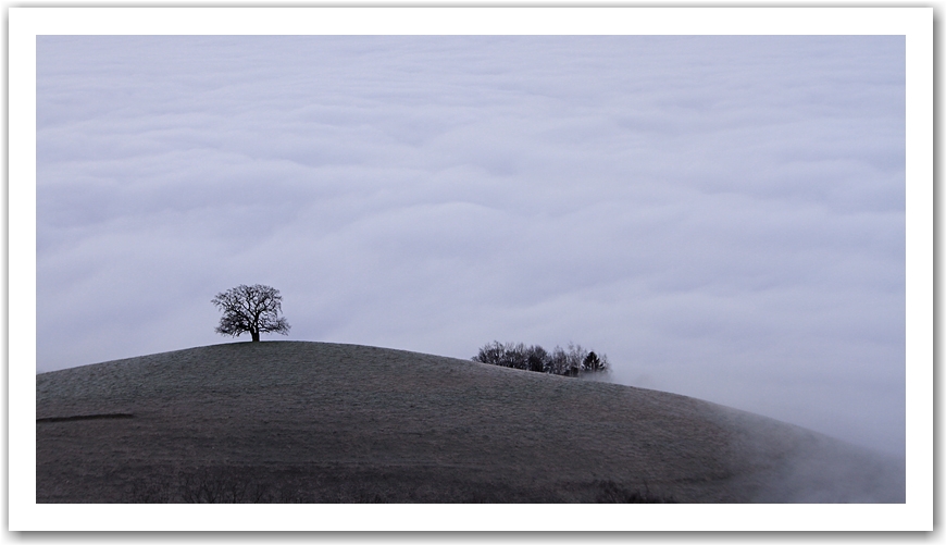 brouillard en vallée