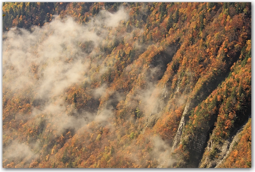 un midi d'automne en Chartreuse