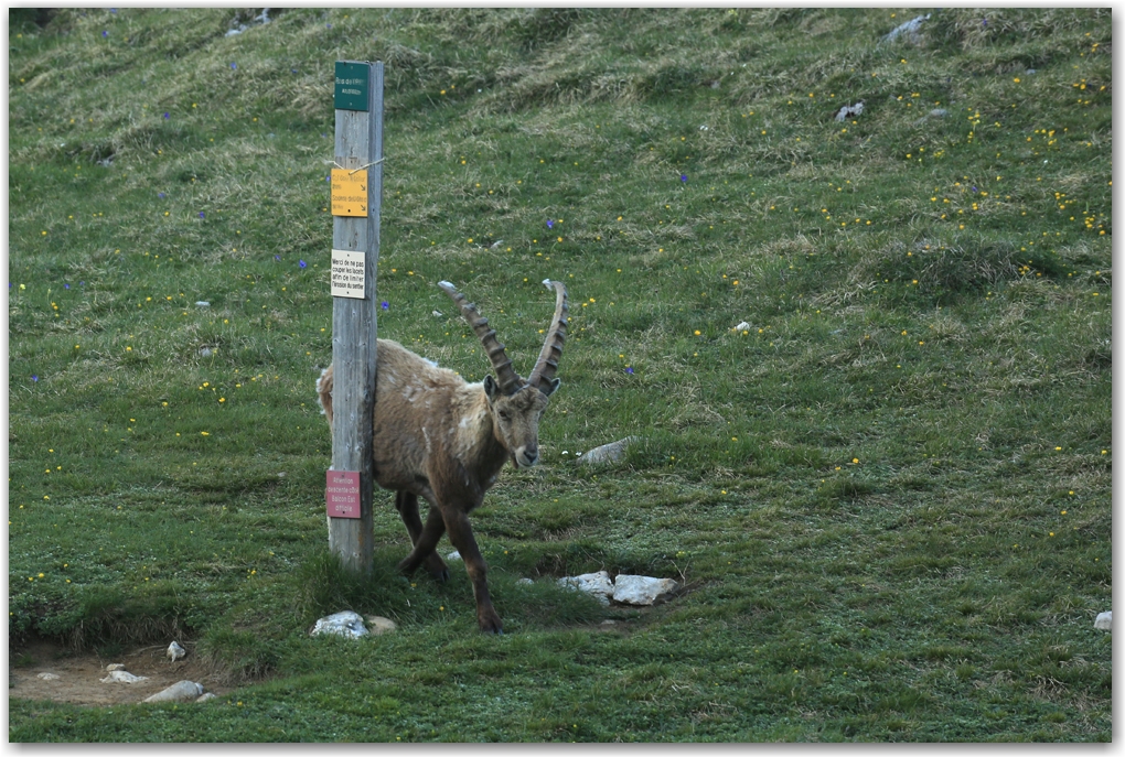 les rencontres du soir dans le Vercors