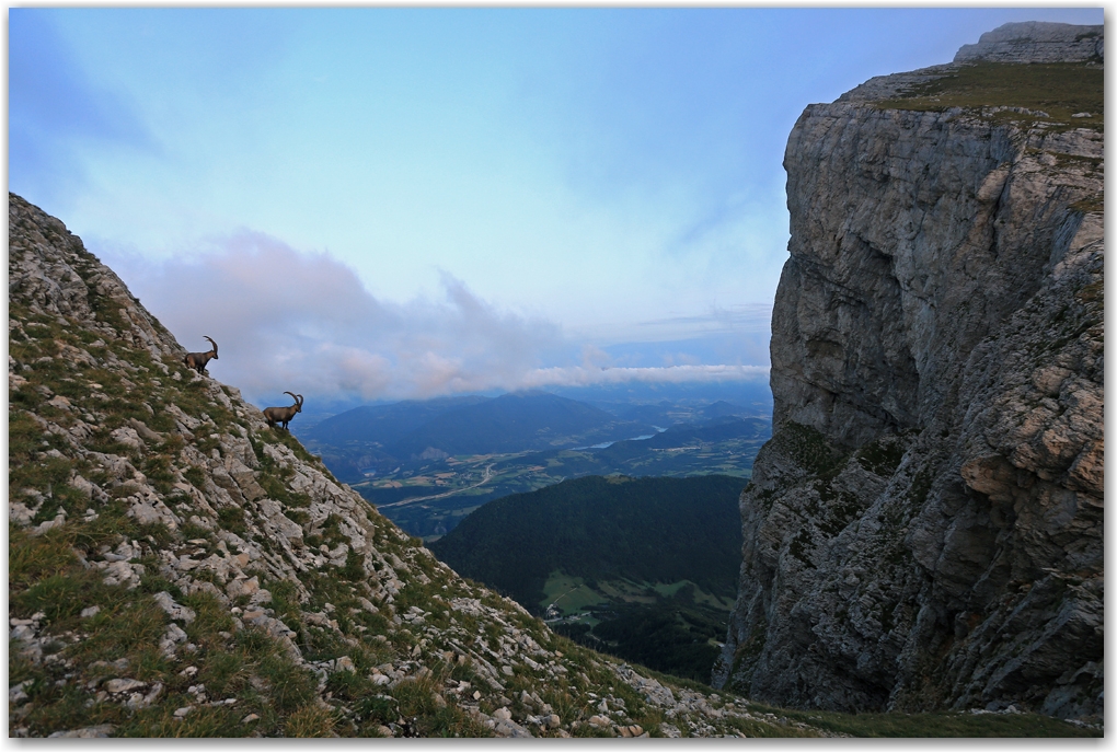 rencontres estivales