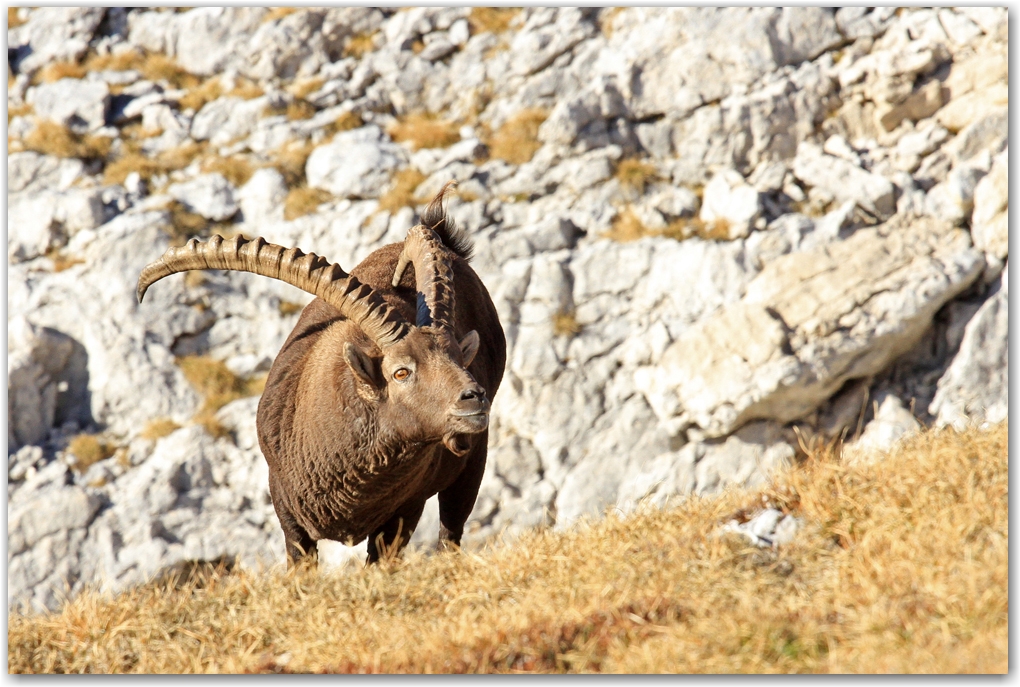 le Grand Veymont