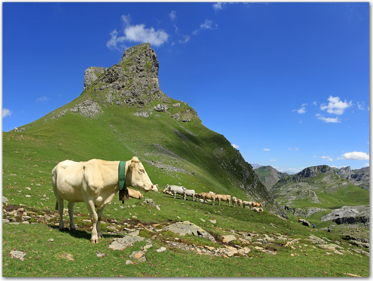 Pic du midi d'Ossau