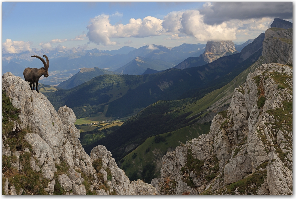 le Maitre des lieux