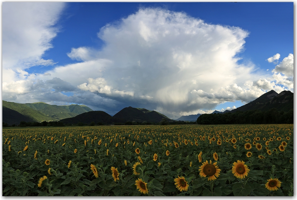 orage de juin