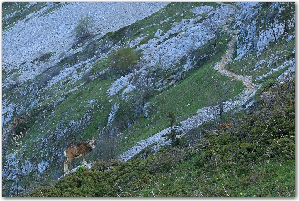 les rencontres du soir dans le Vercors