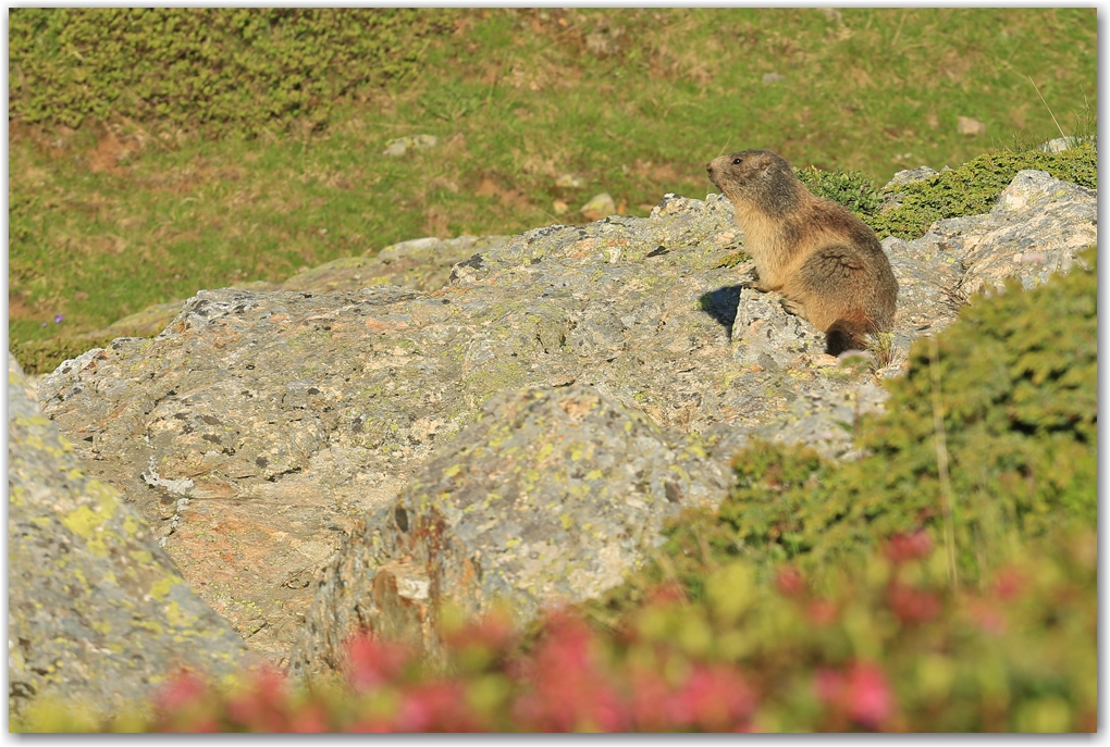 bivouac au Fourchu