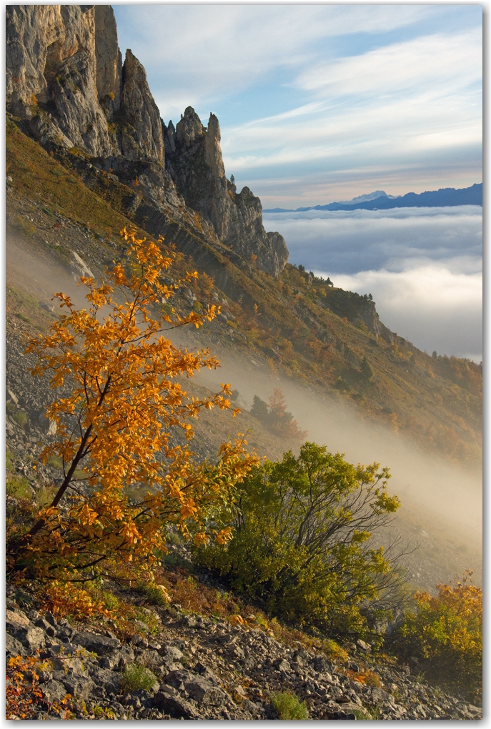 l'automne est arrivé