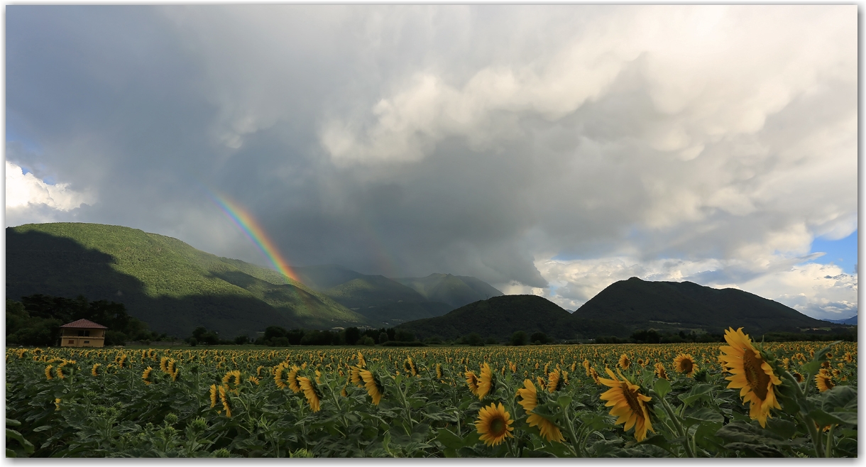 orage de juin