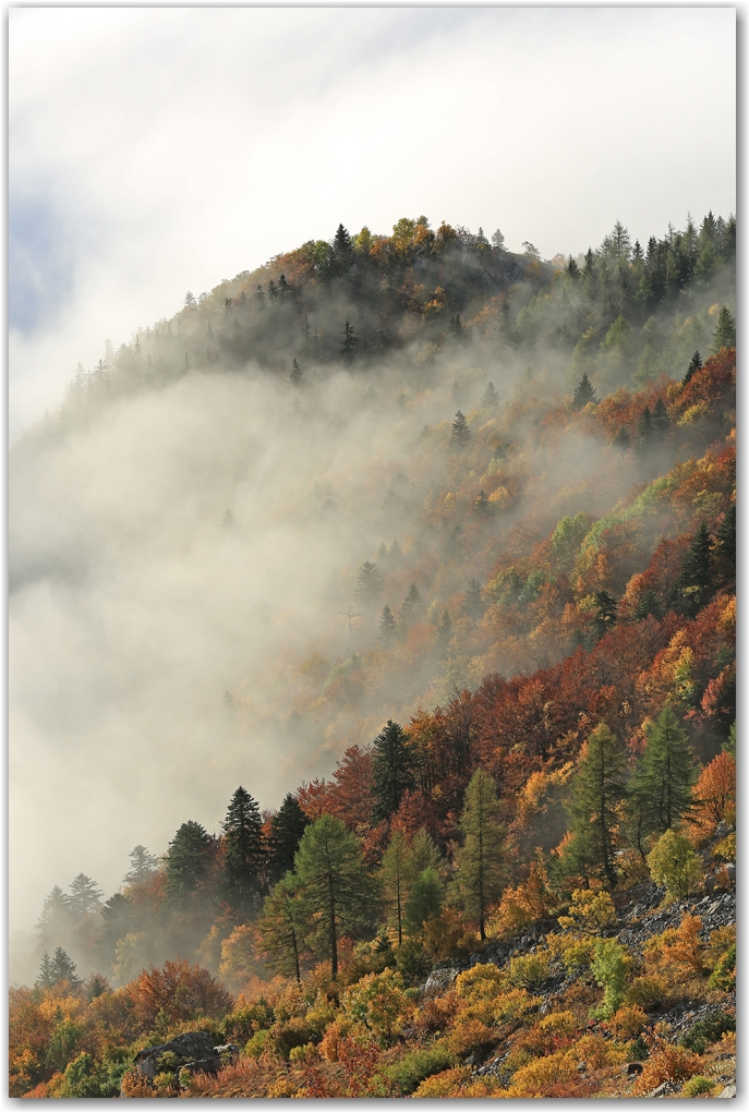 l'automne est arrivé