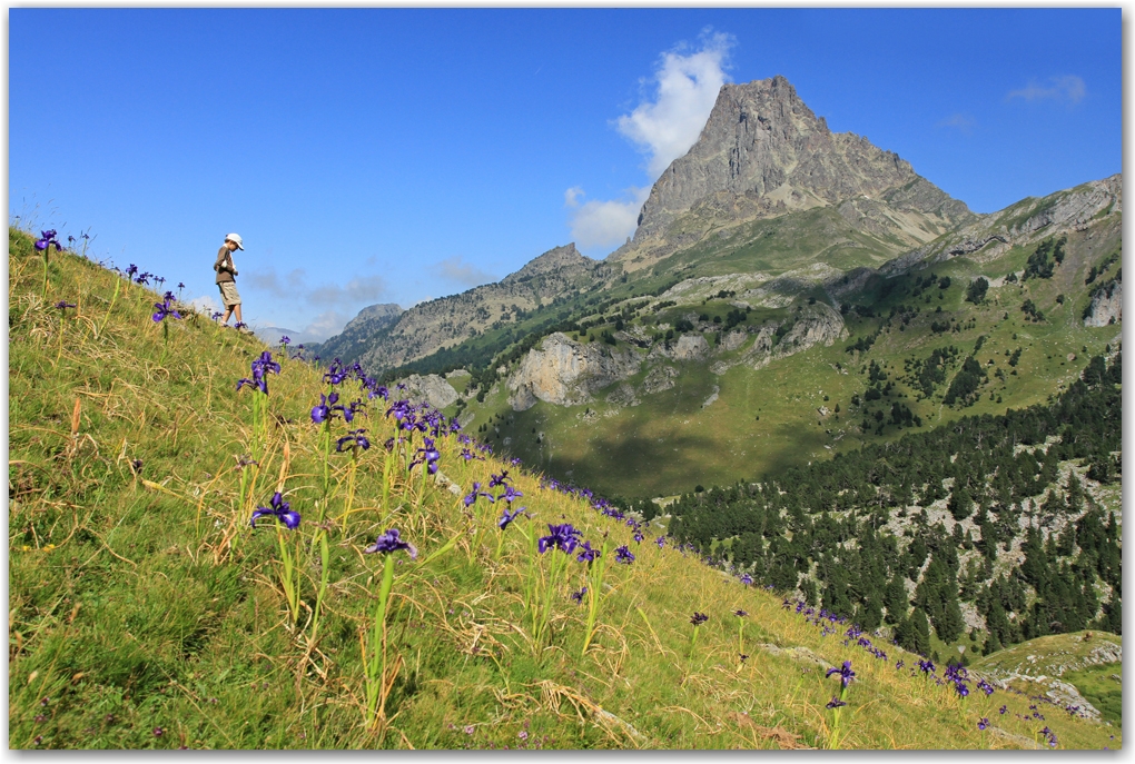 Pic du midi d'Ossau