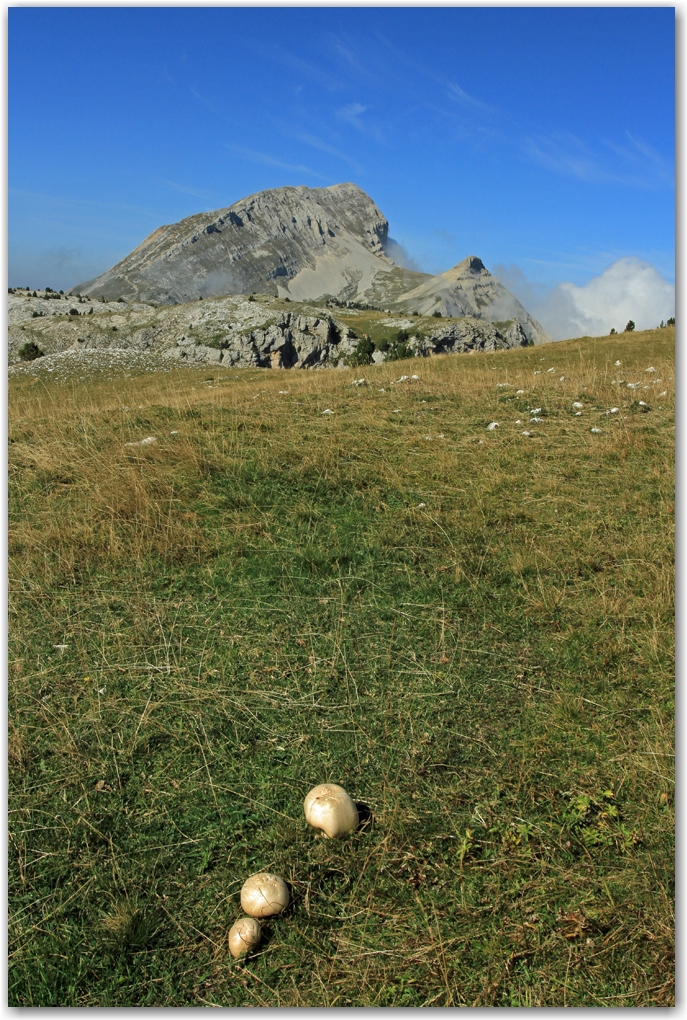 2 jours dans le Vercors...