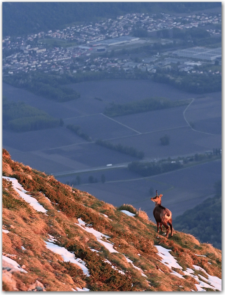 dent de crolles