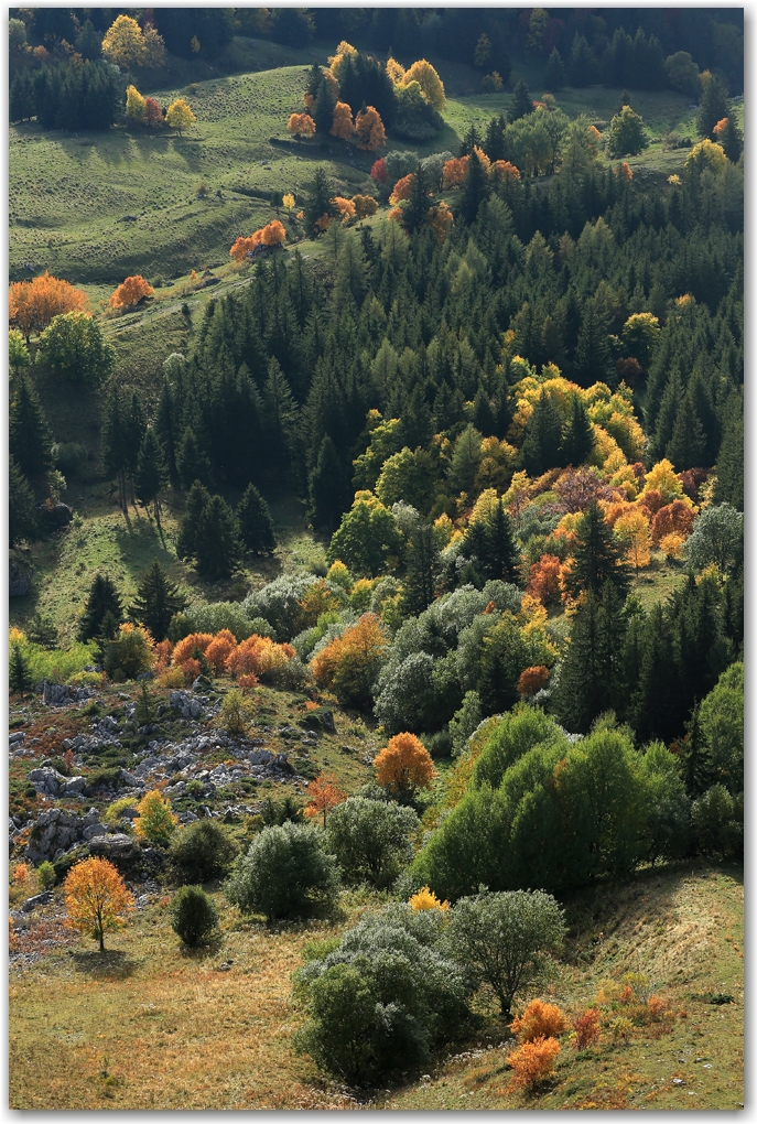 l'automne en Vercors