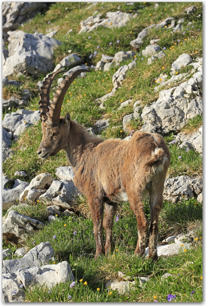 un bivouac raté