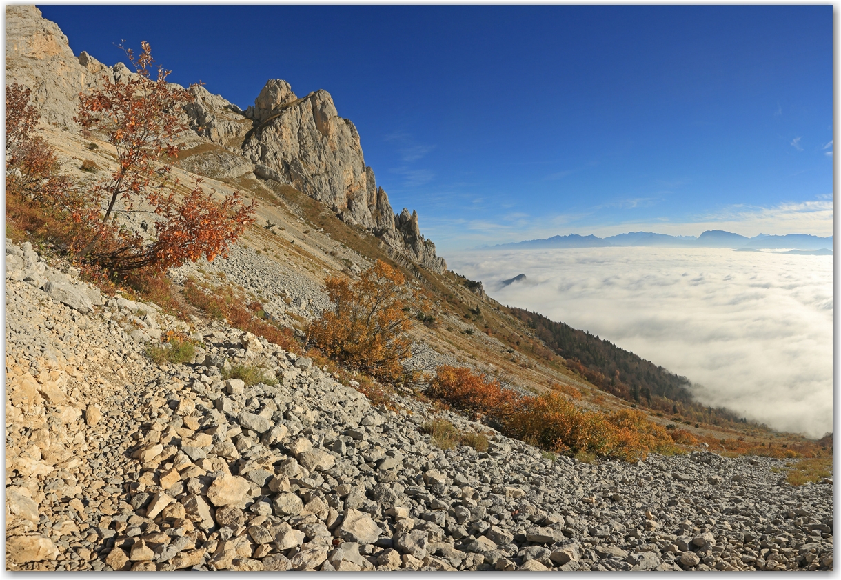 automne en or
