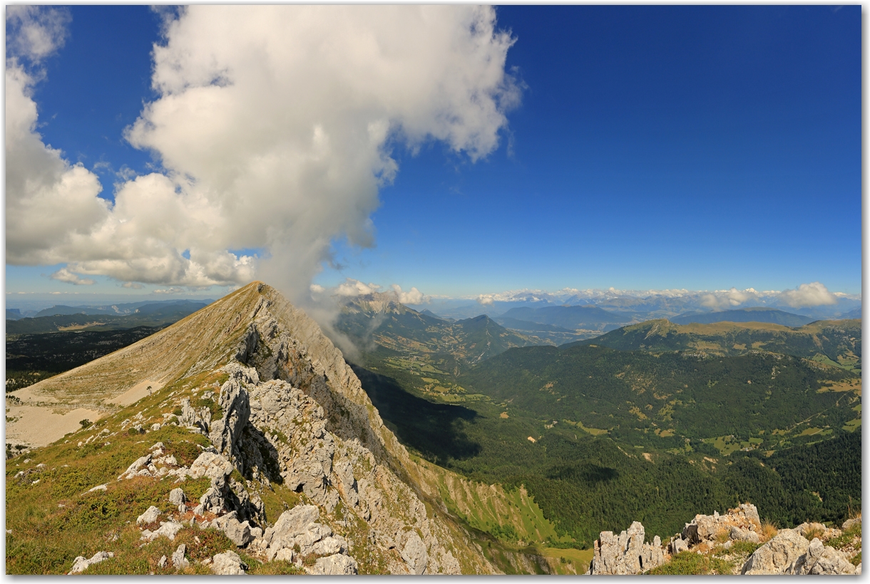 le Maitre des lieux