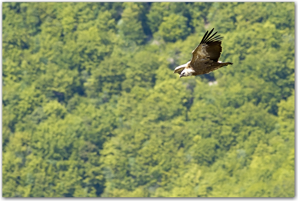 le Vercors et ses habitants