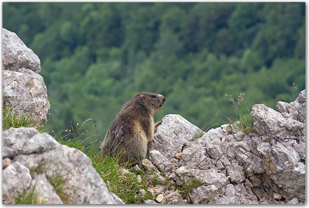 le Vercors et ses rencontres