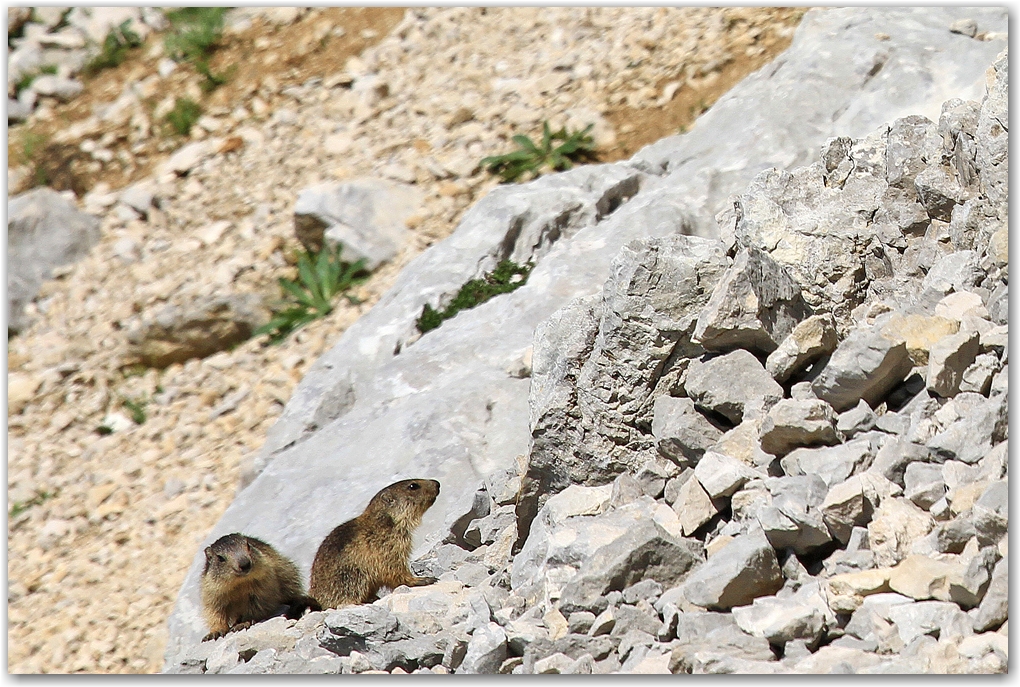 le Vercors et ses rencontres