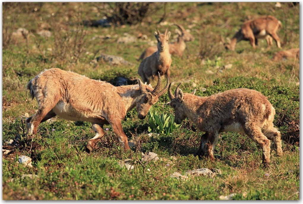 le Vercors et ses habitants