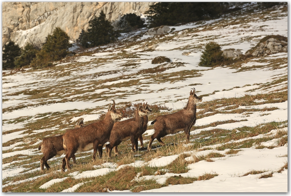 Une Dent de Crolles hivernale au printemps