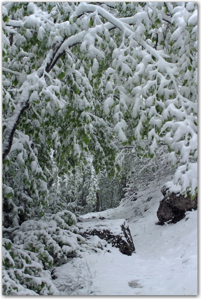 le retour de l'hiver