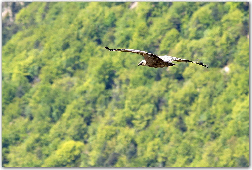 le Vercors et ses habitants