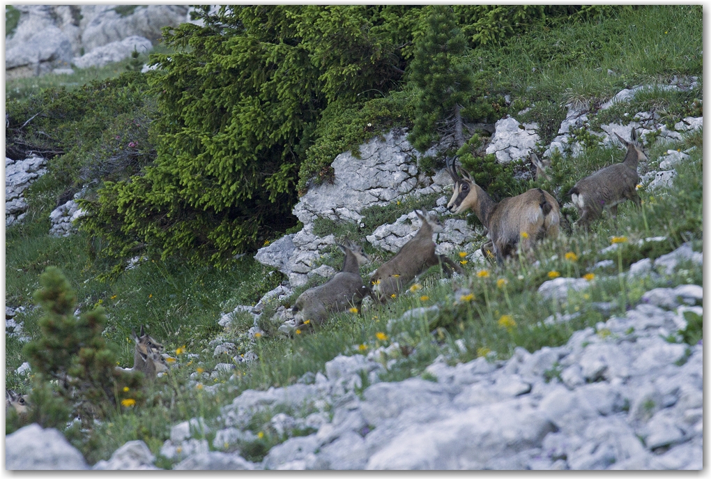 Un soir à la Dent de Crolles