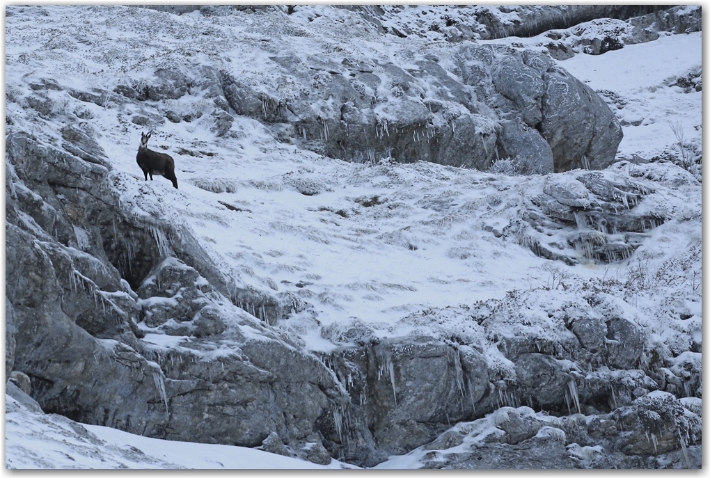 dernier jour d'hiver