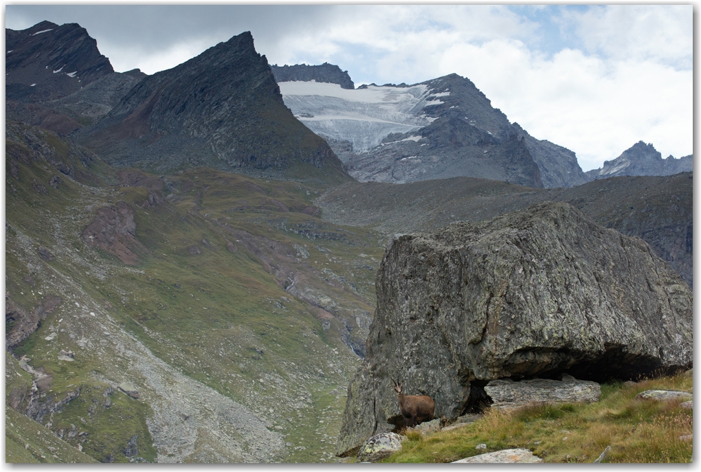 Gran Paradiso