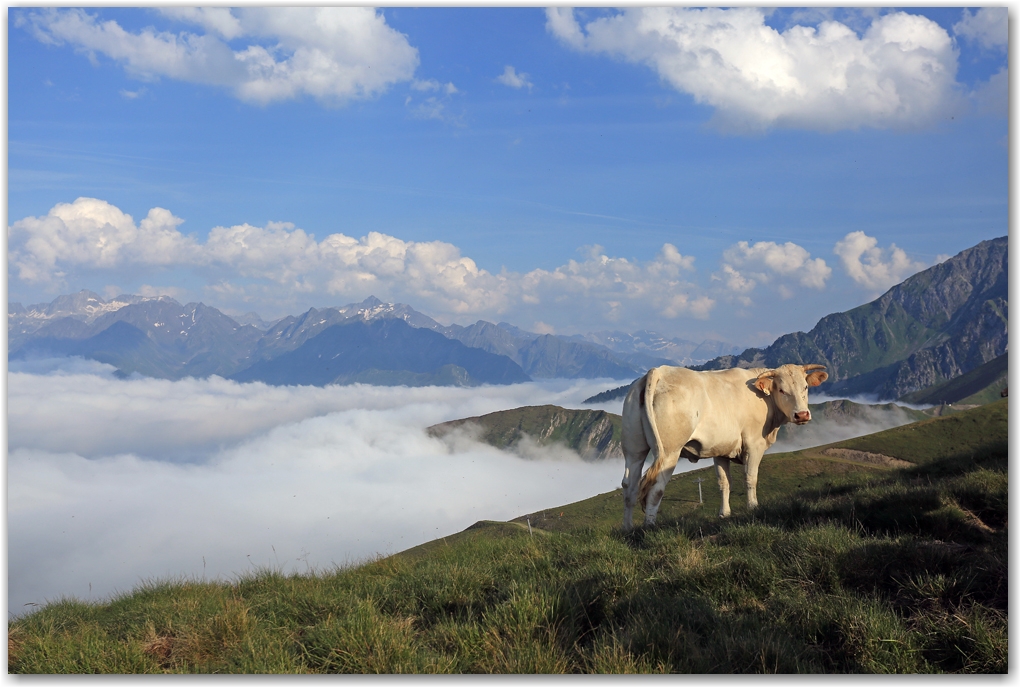 un soir dans les Pyrénées